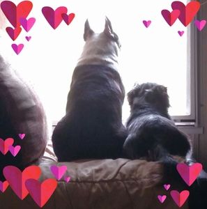 Meet your Posher, Nikki